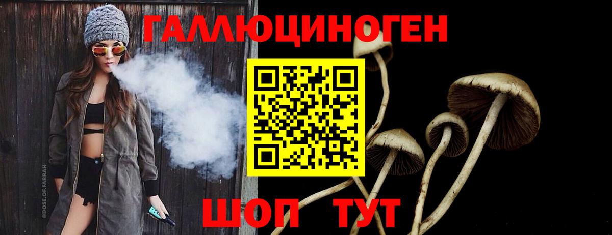 Ликино-Дулёво  наркота  Вход с VPN  Псилоцибиновые грибы мицелий 